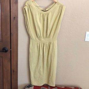 Synergy Organic Clothing Dress